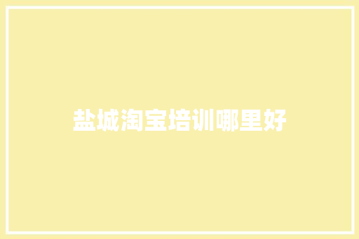 盐城淘宝培训哪里好