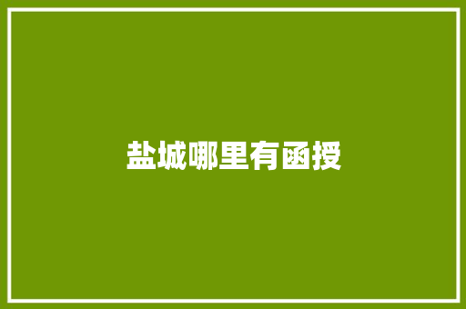 盐城哪里有函授