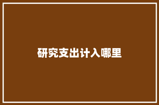研究支出计入哪里 应用文范文