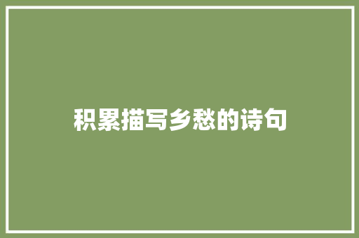 积累描写乡愁的诗句 简历范文