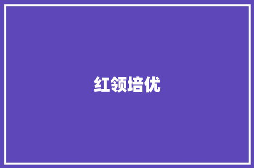红领培优