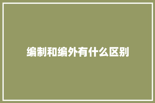 编制和编外有什么区别