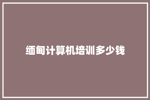 缅甸计算机培训多少钱