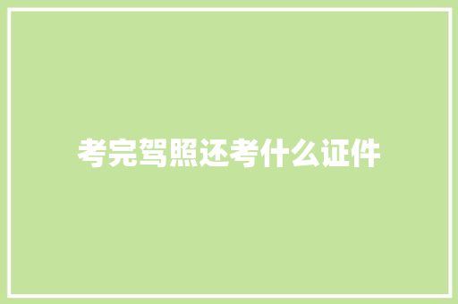 考完驾照还考什么证件