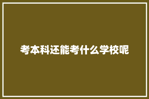 考本科还能考什么学校呢