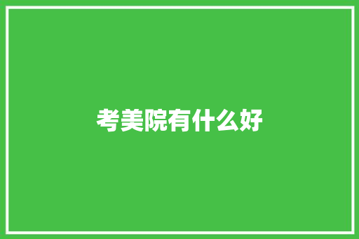 考美院有什么好