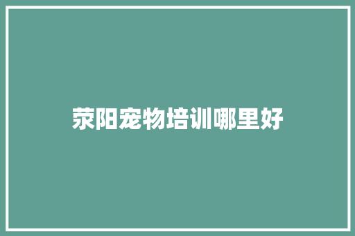 荥阳宠物培训哪里好