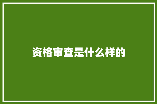 资格审查是什么样的
