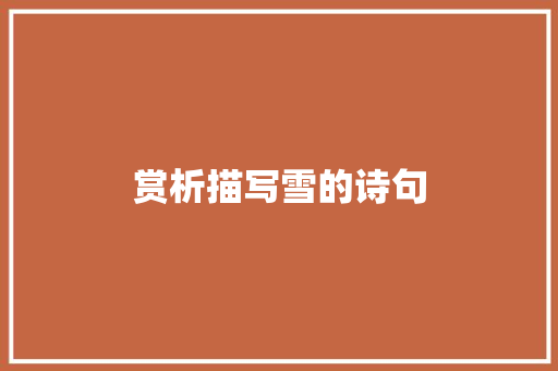 赏析描写雪的诗句