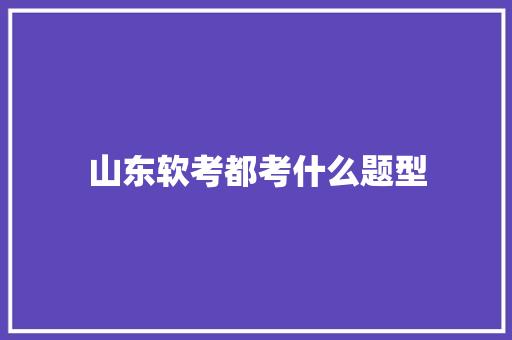 山东软考都考什么题型