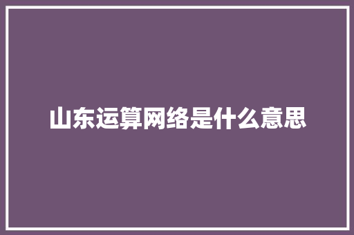 山东运算网络是什么意思
