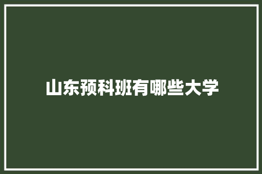 山东预科班有哪些大学