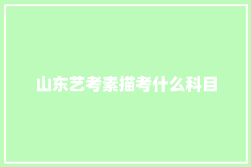 山东艺考素描考什么科目