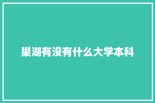 巢湖有没有什么大学本科