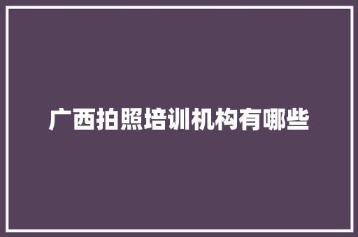 广西拍照培训机构有哪些