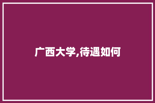 广西大学,待遇如何