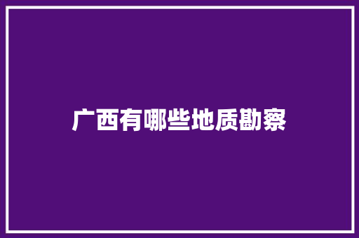 广西有哪些地质勘察