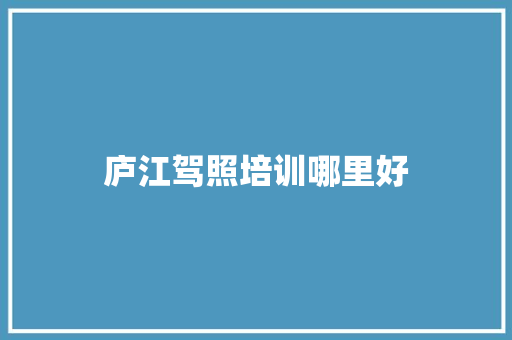 庐江驾照培训哪里好 应用文范文
