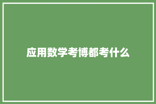 应用数学考博都考什么