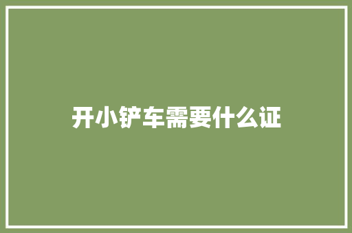 开小铲车需要什么证