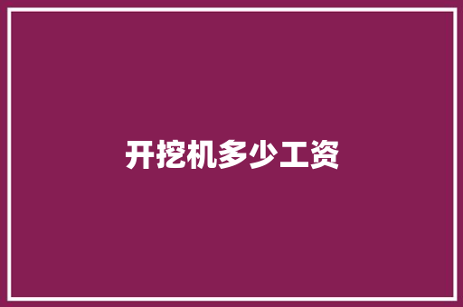 开挖机多少工资