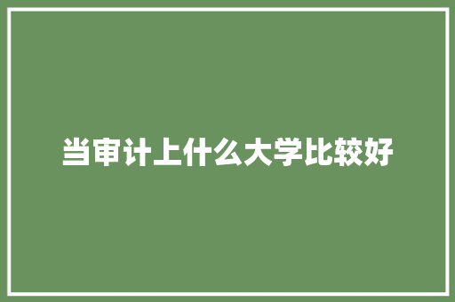 当审计上什么大学比较好