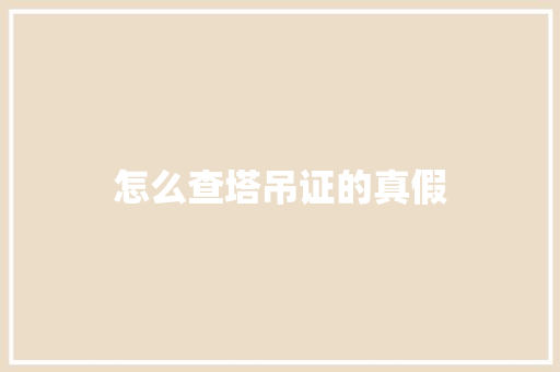 怎么查塔吊证的真假
