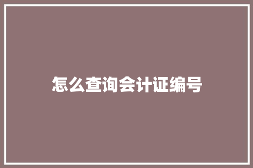 怎么查询会计证编号