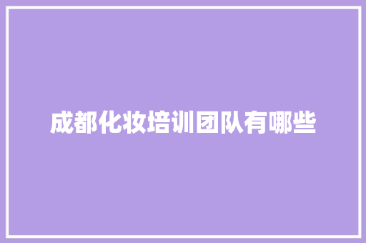 成都化妆培训团队有哪些