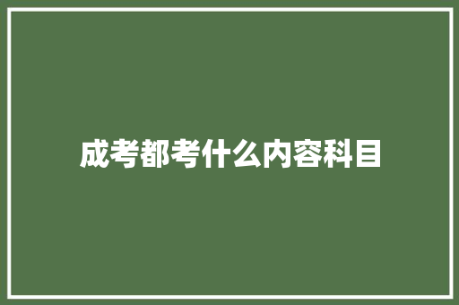 成考都考什么内容科目