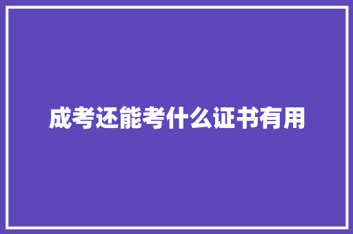 成考还能考什么证书有用