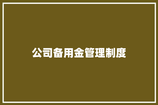 公司备用金管理制度 商业计划书范文