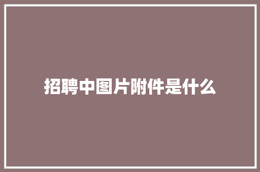 招聘中图片附件是什么 说明文范文