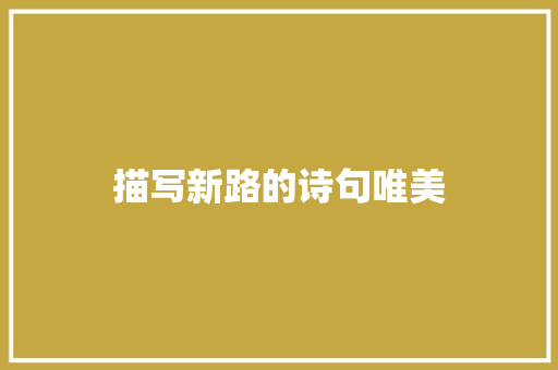 描写新路的诗句唯美