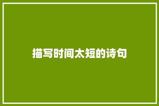 描写时间太短的诗句