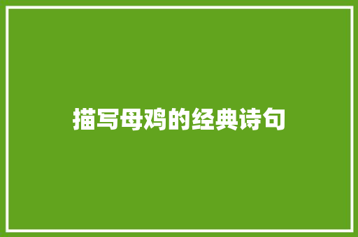描写母鸡的经典诗句 诗歌范文