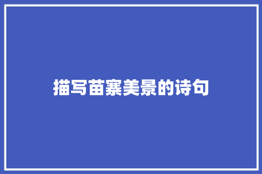 描写苗寨美景的诗句 记叙文范文