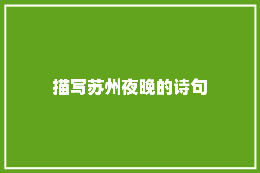 描写苏州夜晚的诗句 记叙文范文