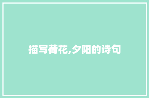 描写荷花,夕阳的诗句 商业计划书范文
