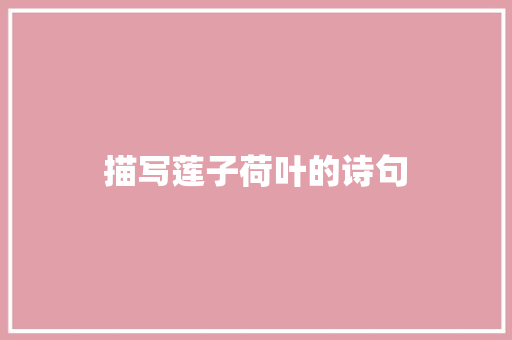 描写莲子荷叶的诗句