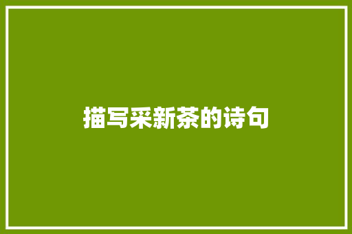 描写采新茶的诗句