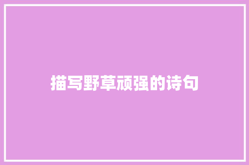 描写野草顽强的诗句