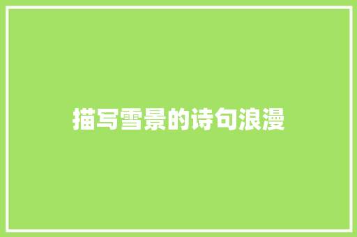 描写雪景的诗句浪漫 求职信范文