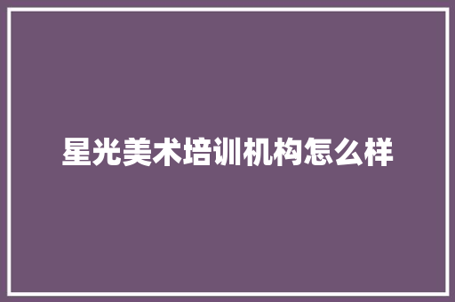 星光美术培训机构怎么样