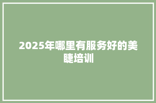 2025年哪里有服务好的美睫培训