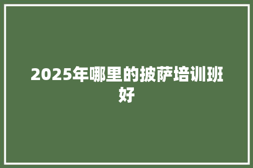 2025年哪里的披萨培训班好