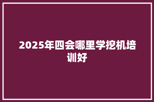 2025年四会哪里学挖机培训好