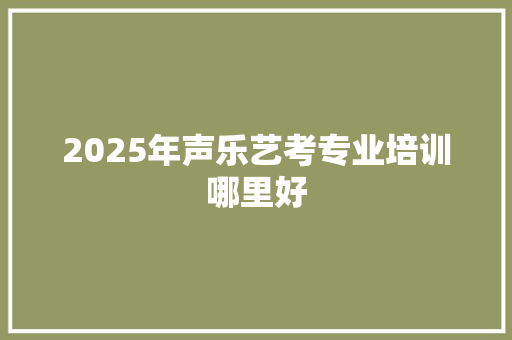 2025年声乐艺考专业培训哪里好