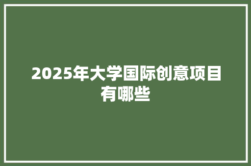2025年大学国际创意项目有哪些 简历范文