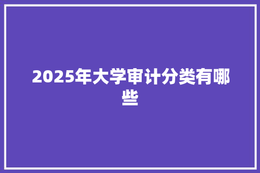 2025年大学审计分类有哪些 说明文范文